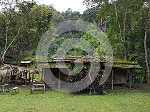 AÃ¢â¬â¹nÃ¢â¬â¹ oldÃ¢â¬â¹ publicÃ¢â¬â¹ schoolÃ¢â¬â¹ locatedÃ¢â¬â¹ inÃ¢â¬â¹ theÃ¢â¬â¹ middleÃ¢â¬â¹ ofÃ¢â¬â¹ aÃ¢â¬â¹ forest photo